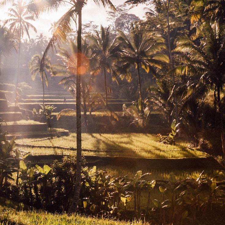 Family terraces and cafés for calm evenings in Zurich