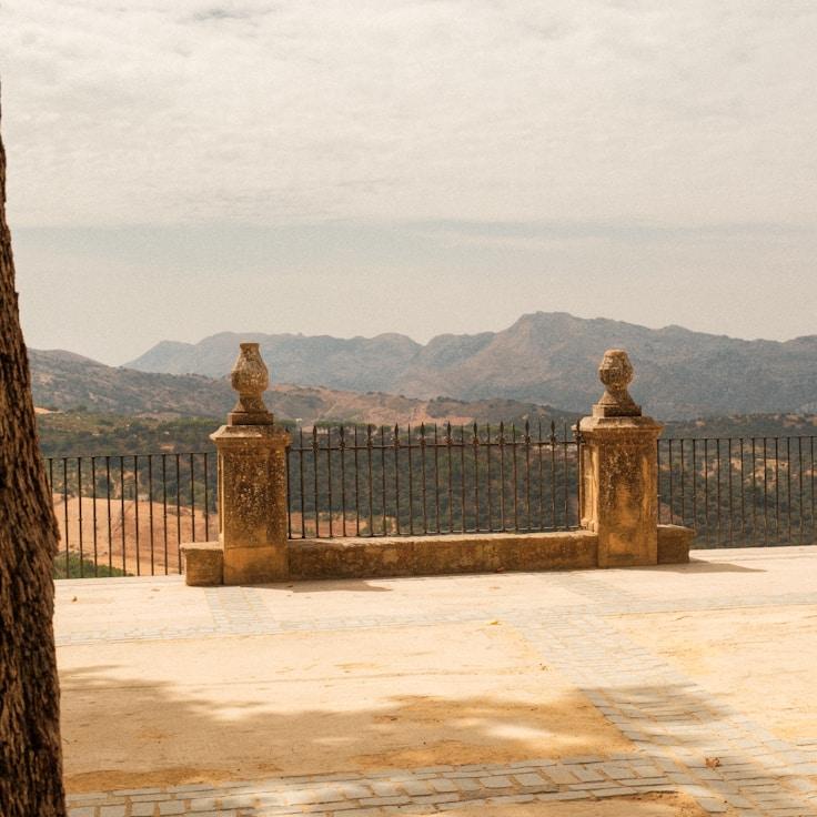 Kid-friendly dining with comfy seating